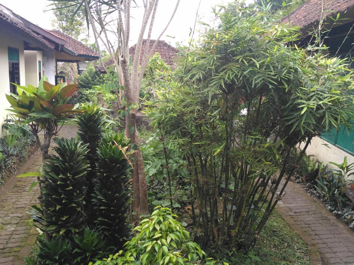 Karangasem Dhangin Taman מראה חיצוני תמונה